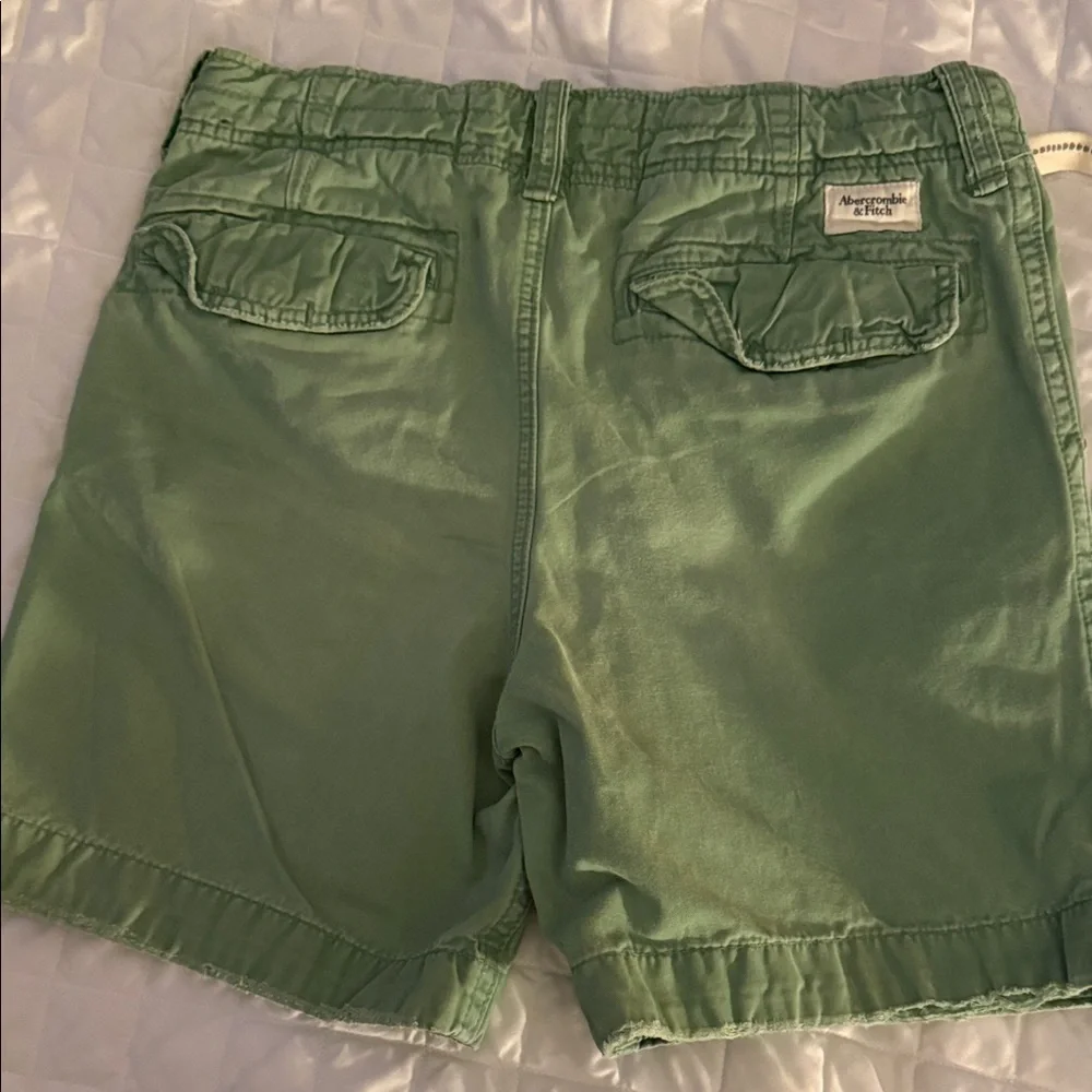 Abercrombie & Fitch Mint Green Men's Flat Front Shorts - Picture 5 of 9